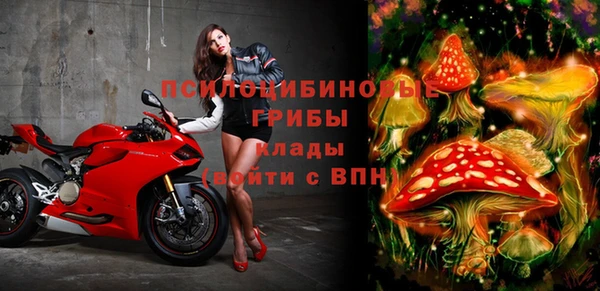 прущий лед Алексин