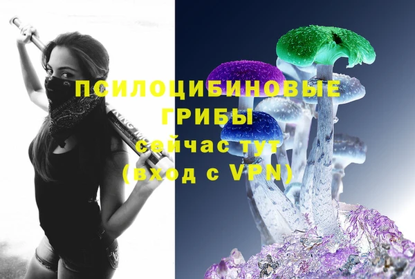 прущий лед Алексин